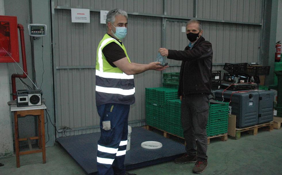 Dieciséis kilos de pesetas en cajas de zapatos