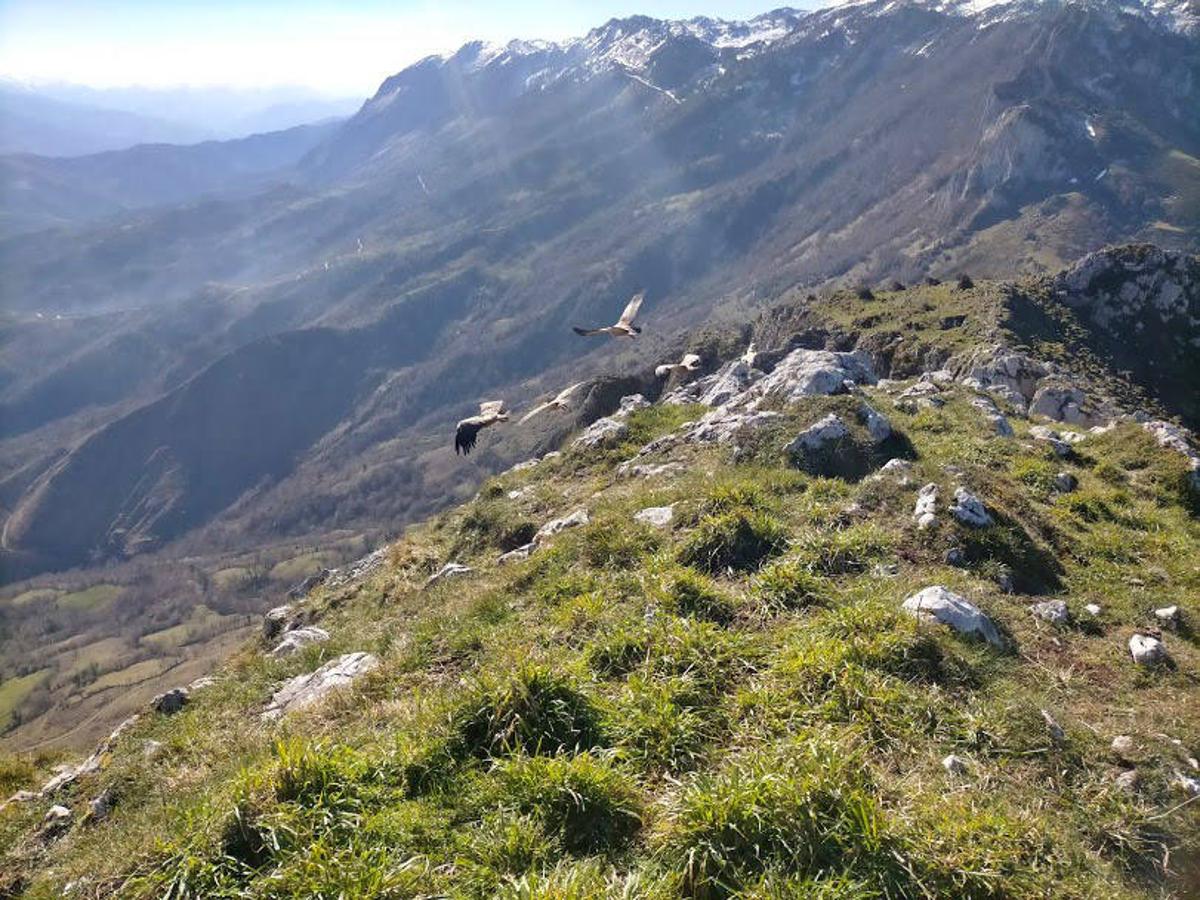 Paisajes de ensueño por la montaña asturiana