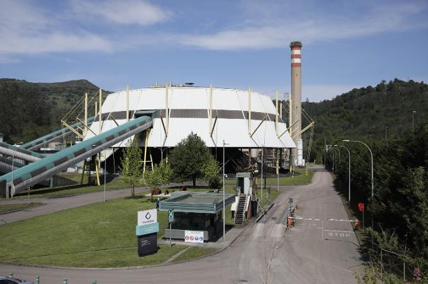 El uso de la biomasa forestal en la central de La Pereda generará 180 nuevos empleos