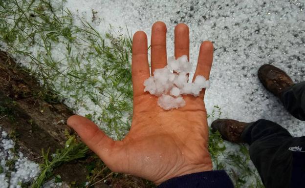 La tormenta de granizo arrasa con el 95% de la cosecha de los agricultores de arándanos de Nava