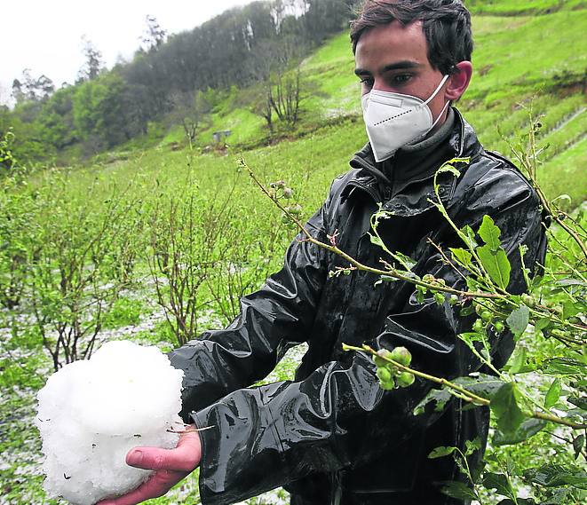 Perder la cosecha en 30 minutos