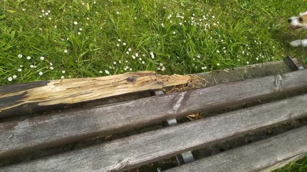 Quejas por el estado del parque de gimnasia