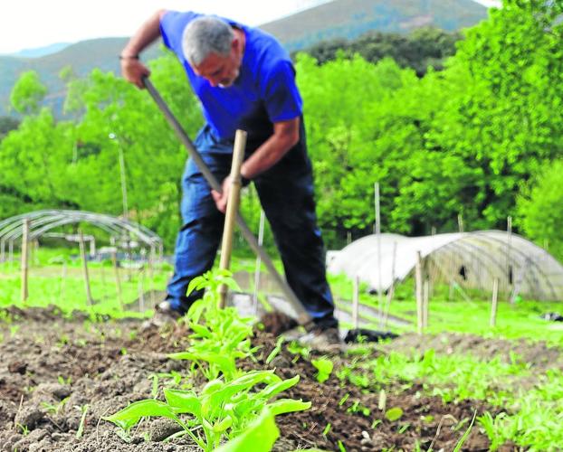 Un salto de siglos para dar oxígeno al campo