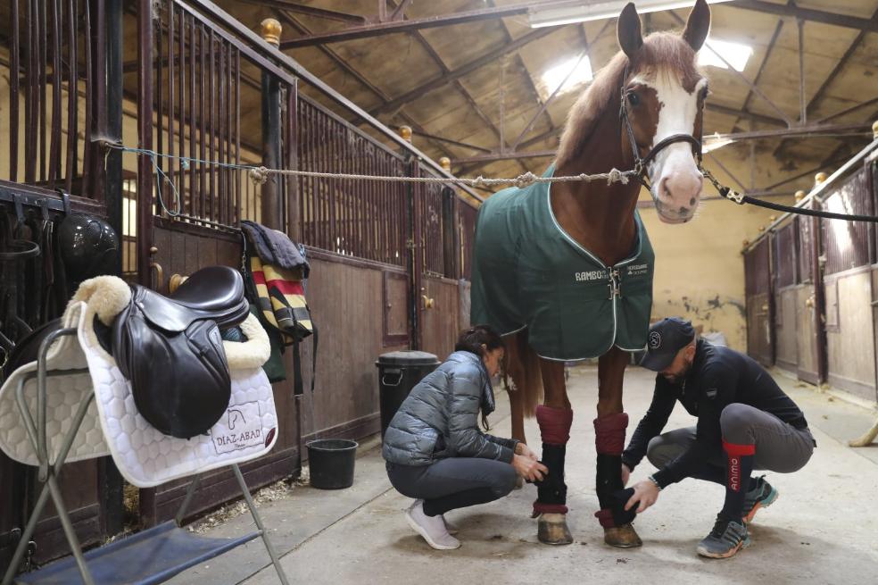 La aventura de tener una cuadra propia