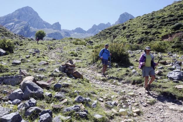 El Principado cierra una ruta de Las Ubiñas para proteger a una osa y sus dos crías