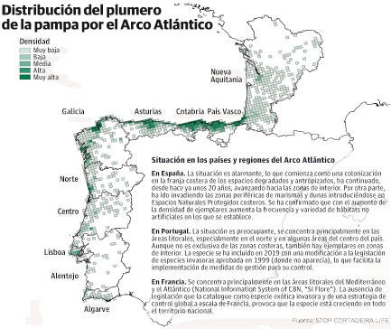 El Principado usará drones para erradicar el plumero de la pampa