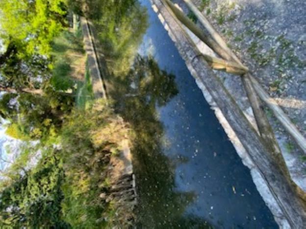 El abandono del parque de Isabel la Católica