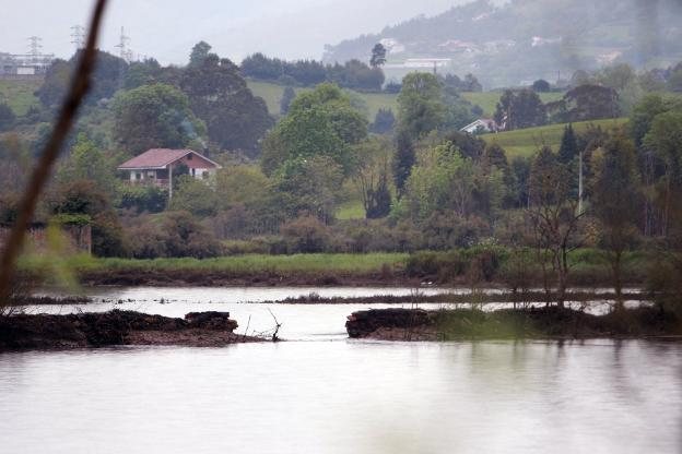 Villaviciosa proyecta utilizar los diques de los porreos como senda peatonal