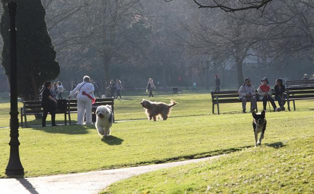 El Ayuntamiento asegura que no usa herbicidas en parques y zonas verdes de Avilés