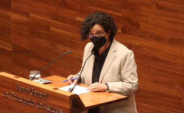 Piñán a Vox: «Hago uso de mi derecho a usar el asturiano reconocido por el Constitucional»