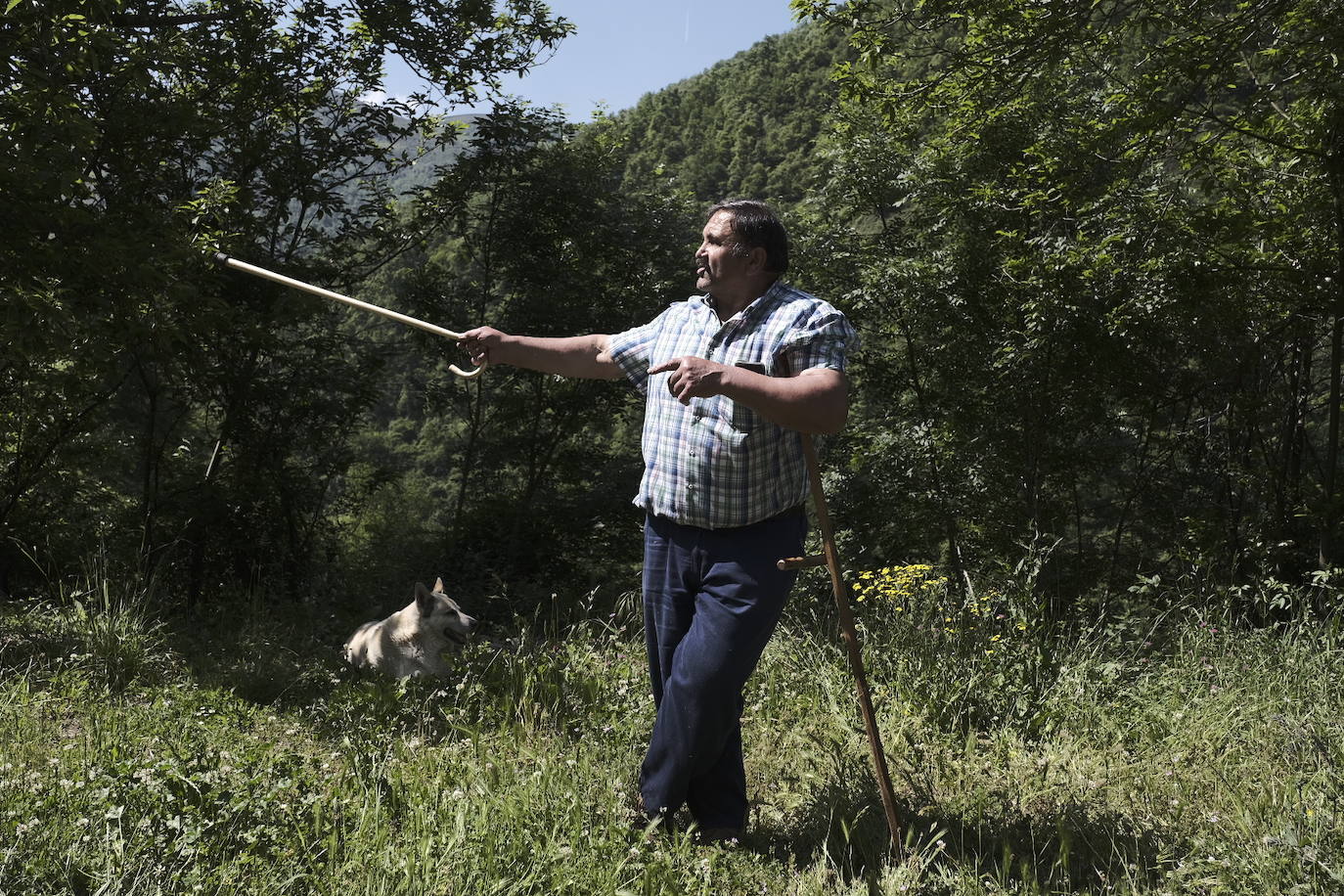 El Principado sospecha que el oso agresor era un macho que seguía al rastro de una hembra