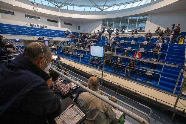 Los primeros 91 kilos de bonito de la temporada de los 994 subastados se pagan a 350,60 euros