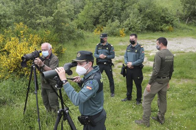 Los osos causan diez veces menos daños que el lobo en Asturias