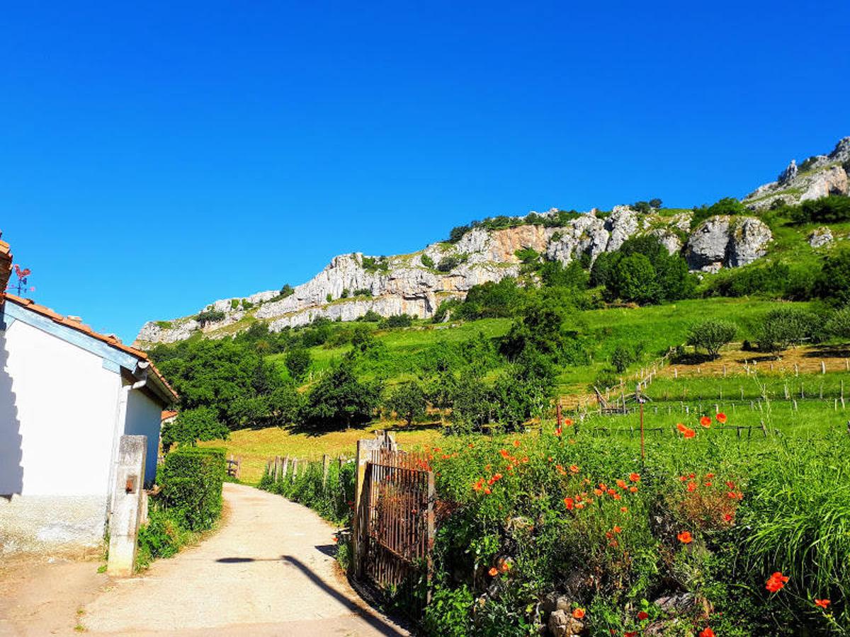 La primavera vista desde los senderos y rutas asturianas