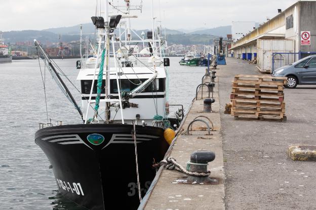 El bonito se vende a una media de 13,2 euros en la segunda subasta de la costera en la lonja