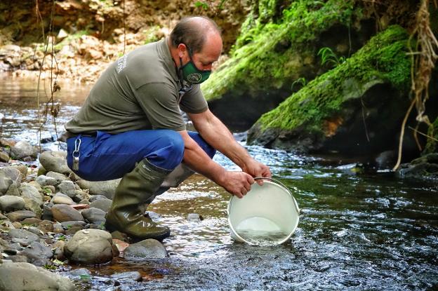 «Los pescadores repoblamos para conservar peces y ríos»