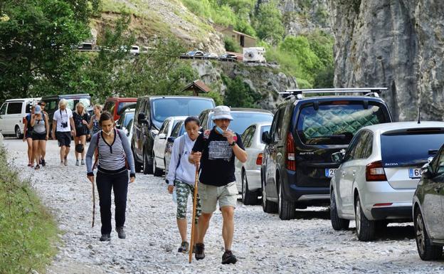 El Principado pondrá en marcha este verano un plan especial de transporte para la ruta del Cares