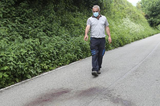 La mujer atacada por un oso en Cangas del Narcea recibe el alta hospitalaria