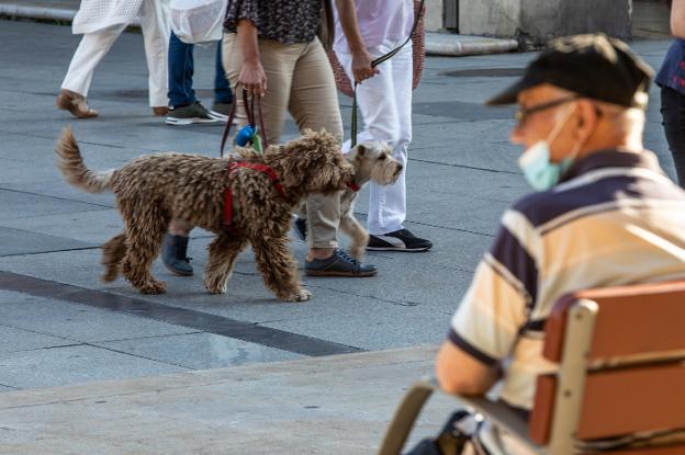 Los dueños de perros de Avilés aplauden la creación de zonas delimitadas y exigen mantenerlas