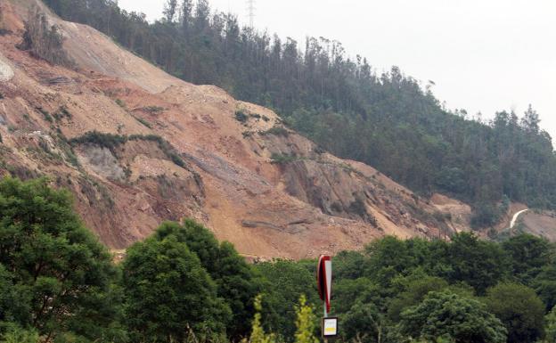 Delia Losa pide que «se deje de politizar» el argayo de Salas