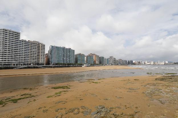 «No hay que confundir un río revuelto con contaminación»