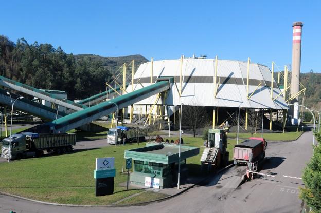 El sector forestal augura un 'boom' del empleo con la demanda de biomasa