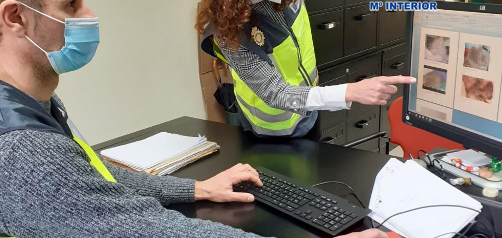 Detienen a un pedófilo en Gijón que almacenaba 7,88 gigas de pornografía infantil - Vimarsana News
