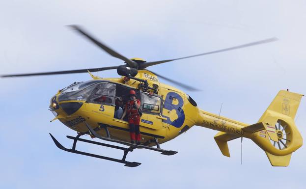 Fallece un praviano de 40 años aplastado por un árbol en un monte de Colunga