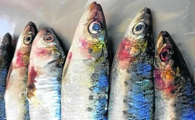 La descarga de sardina arranca el verano al alza mientras el bonito baja respecto a 2020