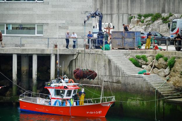 «Si no es por el ocle no salvamos el año tras el desastre que fue la costera de xarda»