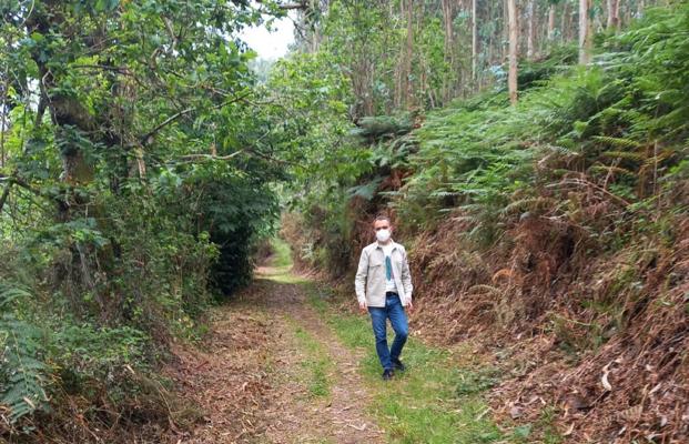 El primer tramo de la histórica senda de El Escañorio, libre de maleza tras un desbroce