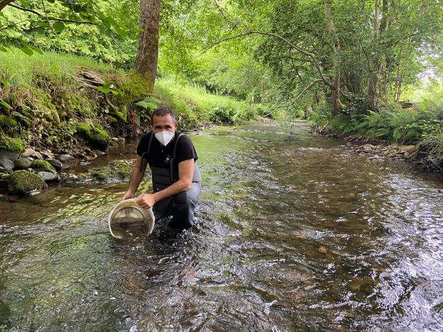 «La cuenca del Nalón-Narcea es la única en la que aumentan las capturas año tras año»