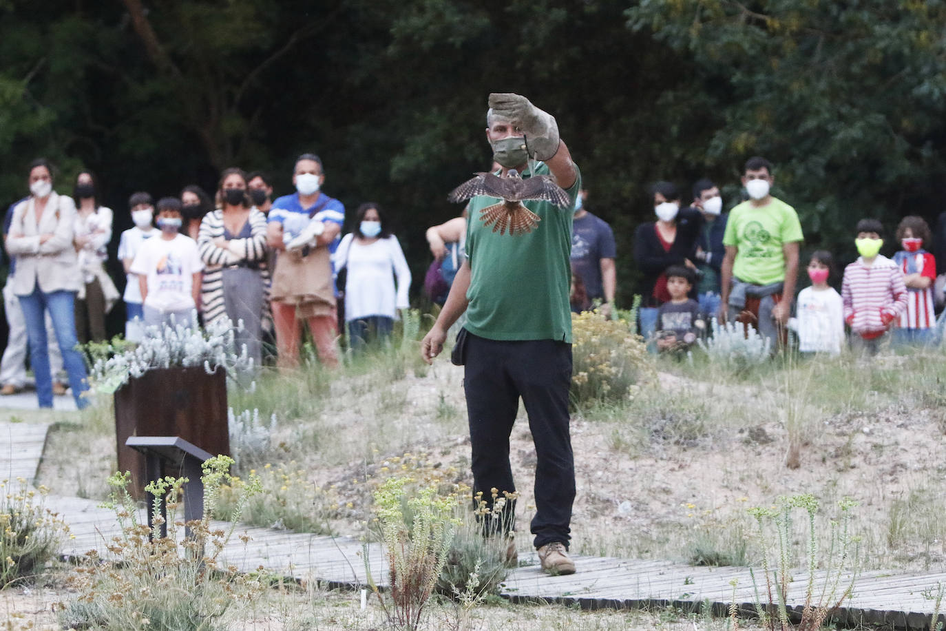 Las noches de Nocturnia alzan el vuelo en el Botánico