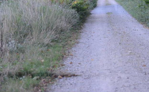 1,3 millones para caminos de dos concentraciones parcelarias en Villayón y Cangas