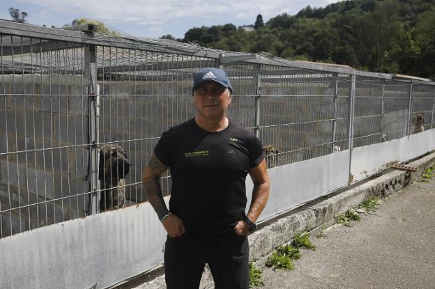 Dog Harmony asume el albergue canino de Mieres: «Los voluntarios serán esenciales»