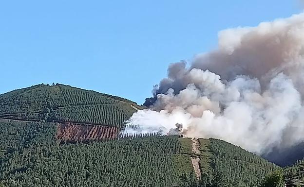 Amplio despliegue para sofocar un incendio forestal en Ibias