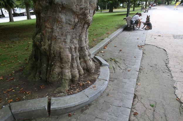 Parques aborda el arreglo de los bordillos de cantería del Campo San Francisco