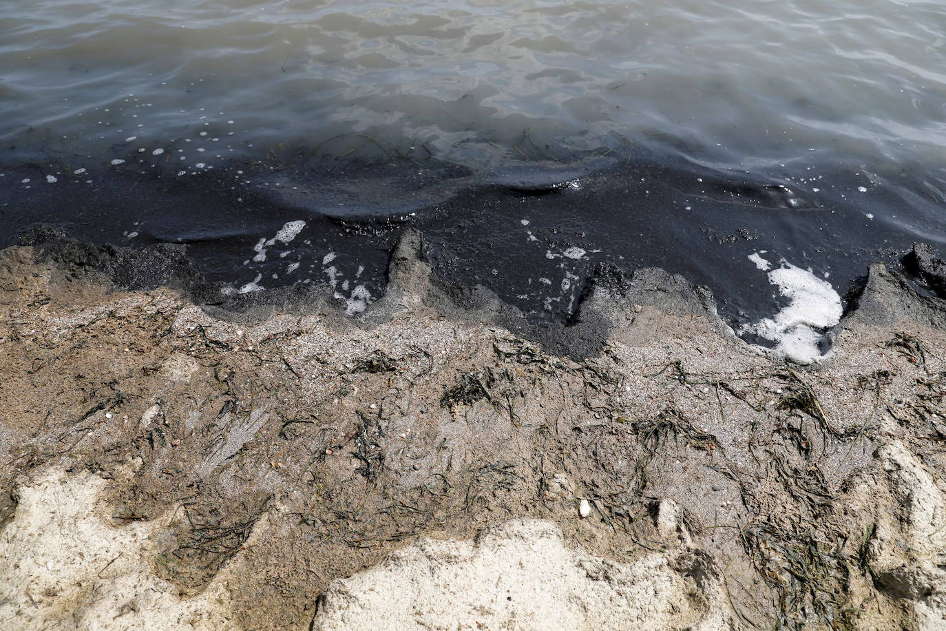 El Mar Menor, en peligro