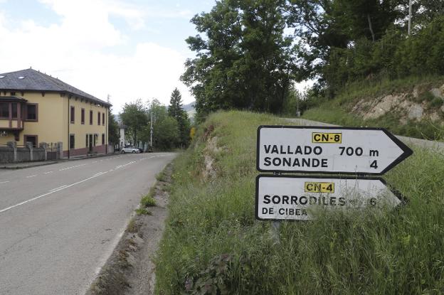 «La reacción del oso al encontrarse con la mujer en Sonande fue de huida, no un ataque»