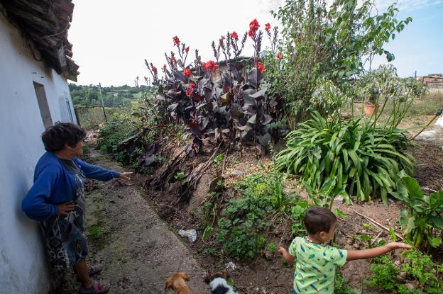 «Da igual cómo lo protejamos, los jabalíes embisten las vallas y lo destrozan todo»
