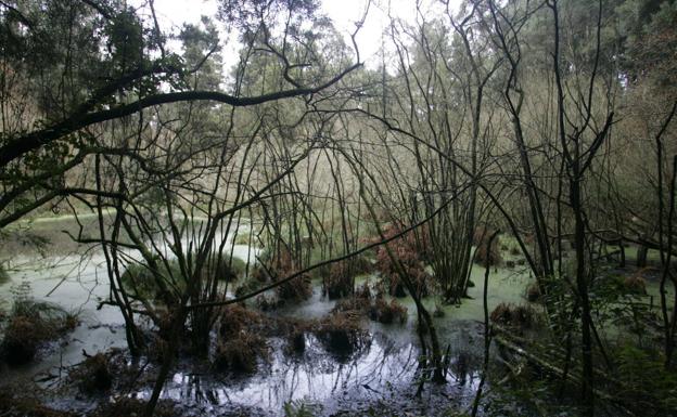 Más de 20 millones de euros, la inversión del primer año en la mina de oro de Salave