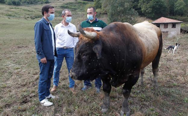 Alberto Garzón, en Piloña: «Defendemos la ganadería en extensivo porque es la que tiene un menor impacto ecológico»