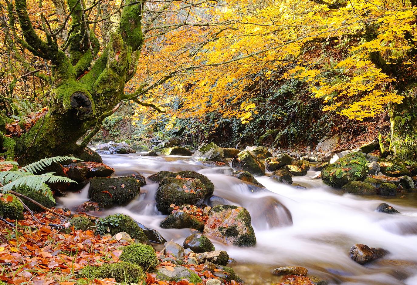 Parque Natural de Redes, dos décadas de reconocimiento