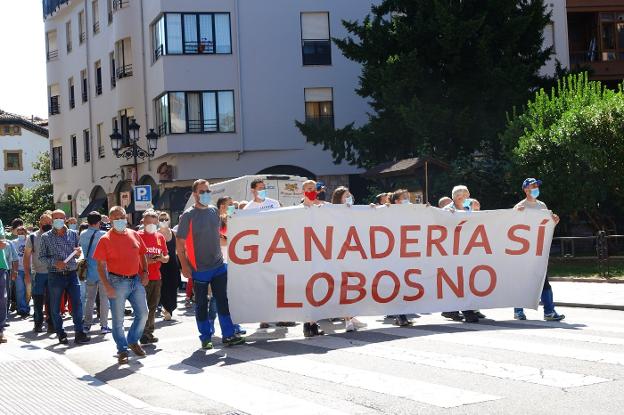 La Universidad ve posible la convivencia con los lobos si aumentan las  ayudas | El Comercio