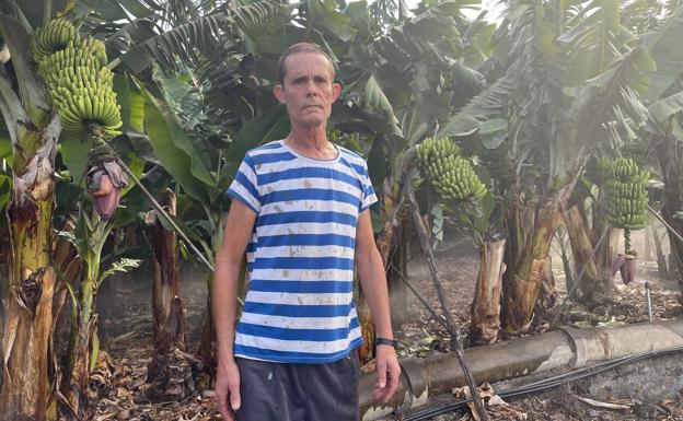 Los coles de Asturias se tiñen de amarillo canario