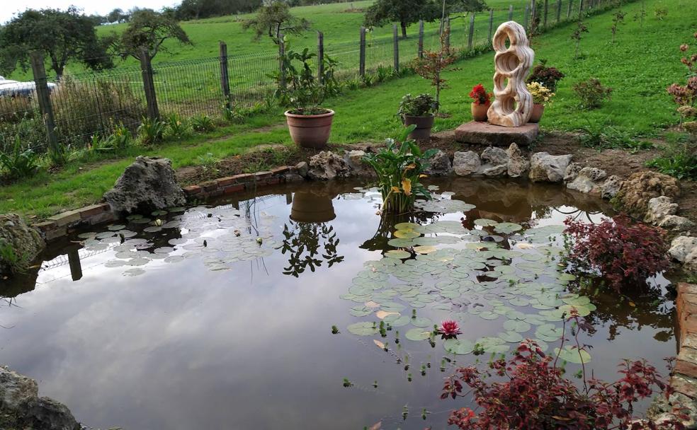 Los Molinos: de finca pratense a locura botánica