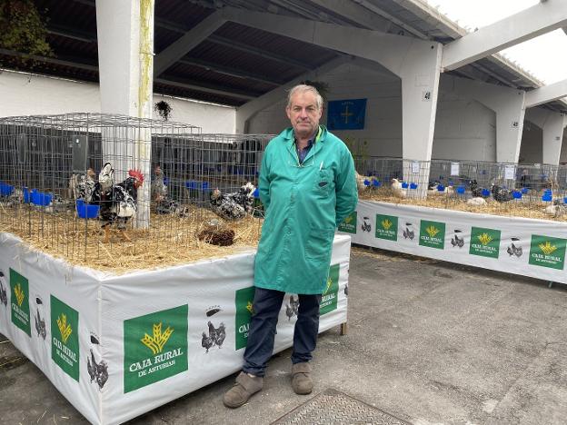 «Se están criando muchos híbridos que no son variedades de pita pinta asturiana»