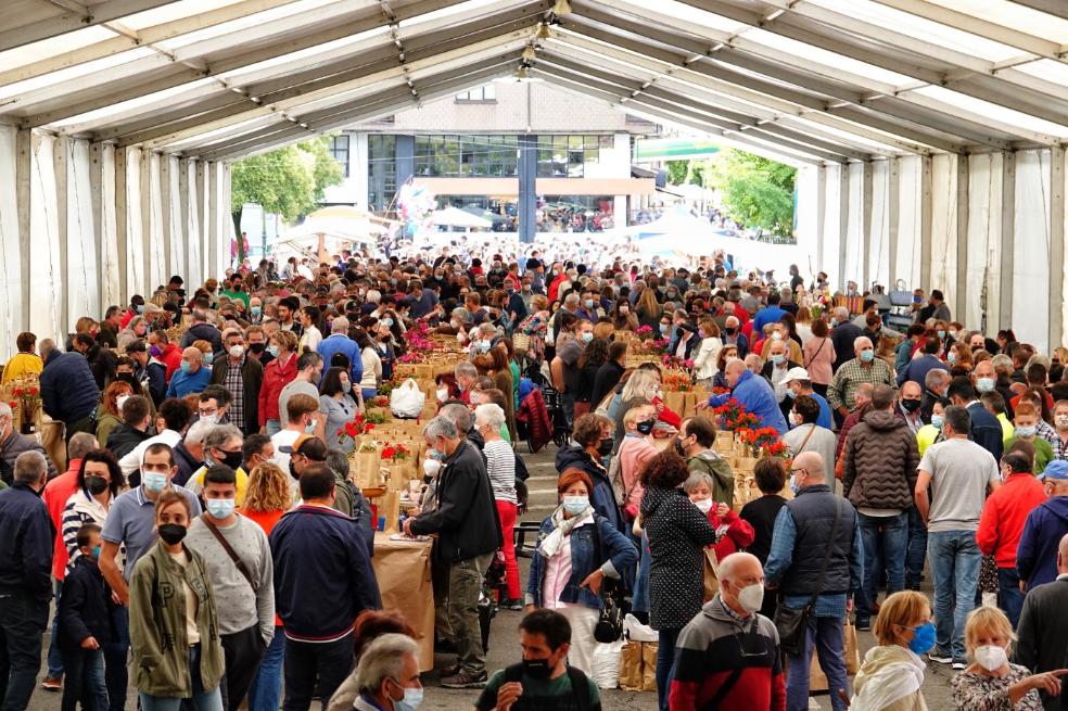 La avellana rejuvenece en Piloña