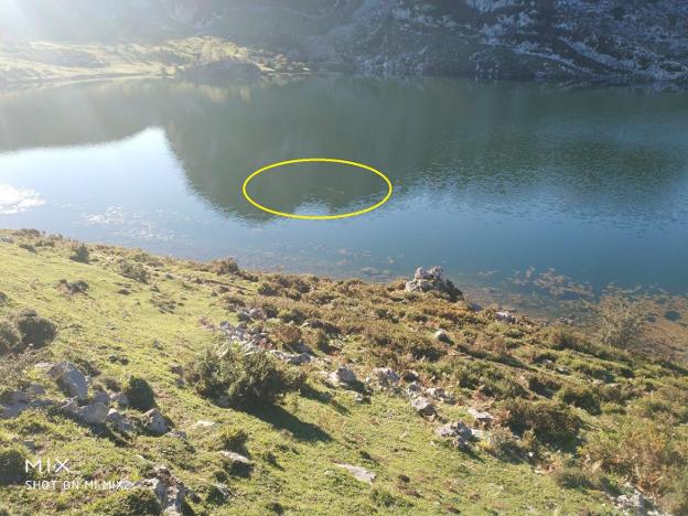 El misterio del «extraño ser de 15 metros» del Enol