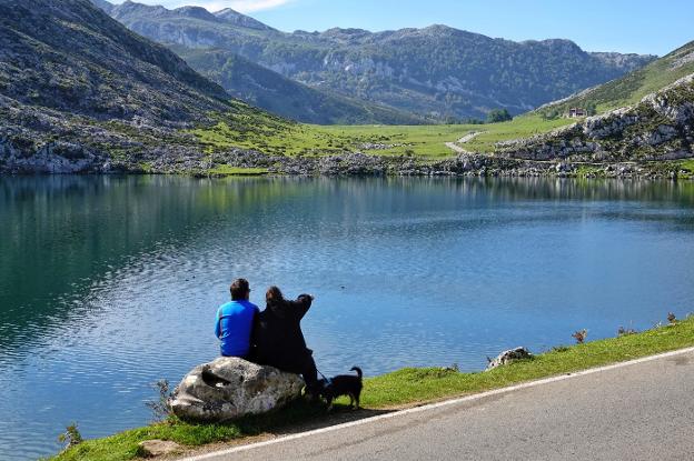 El 'monstruo del lago Enol' se convierte en el gran atractivo del Pilar en Cangas
